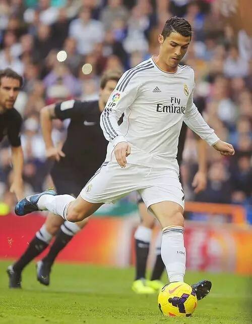 南粤健儿竞风流 湾区盛会谱新章